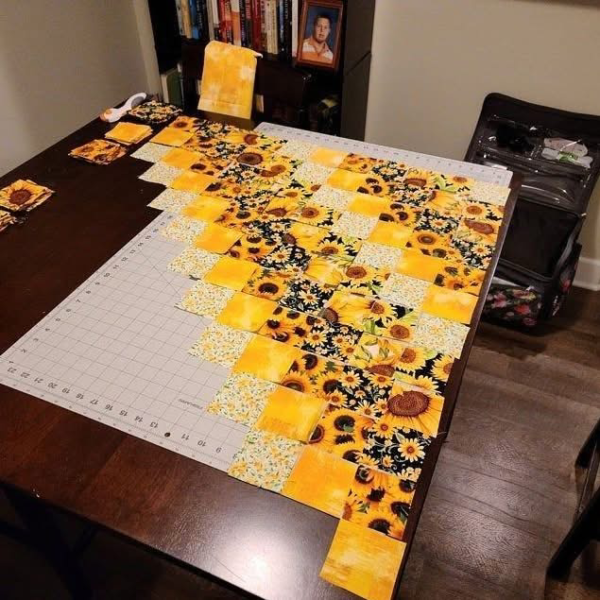 Sunshine Garden (Printed Edition)
